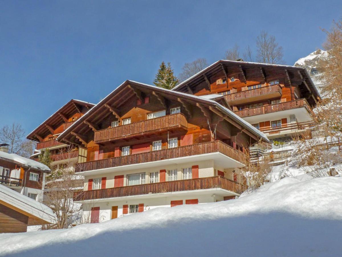 Apartment Plein Soleil Wengen Exterior foto