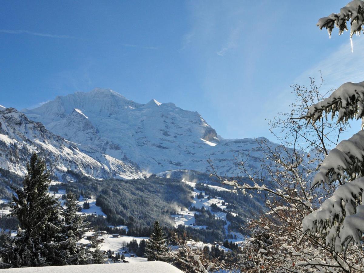 Apartment Plein Soleil Wengen Exterior foto